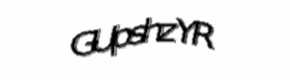 Security check image, please type the characters shown